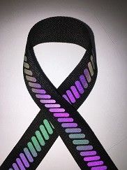o Webbing reflexivo do arco-íris colorido de  3cm para esportes do saco veste o chapéu